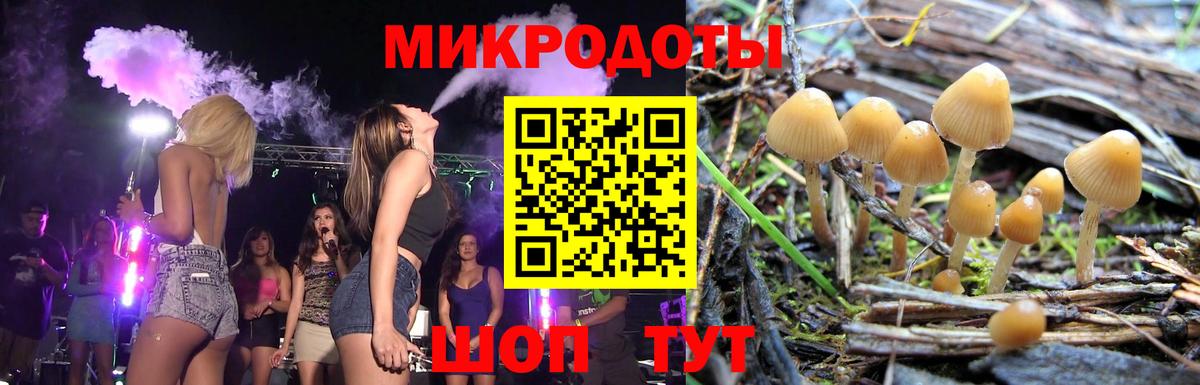цены   Вход с VPN  Волжск  Псилоцибиновые грибы MAGIC MUSHROOMS 